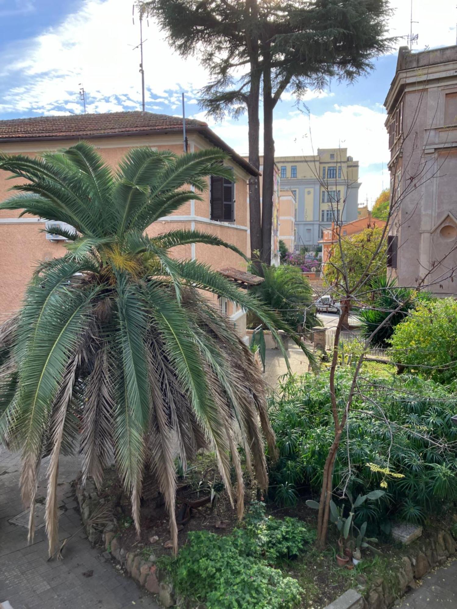 A Casa Di Alfredo Apartment Rom